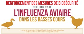 lutte contre la grippe aviaire