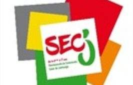 Lire l'article Programme du Secteur Jeunesse - Eté 2019 Programme du Secteur Jeunesse - Eté 2019