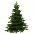 Sapin de Noël