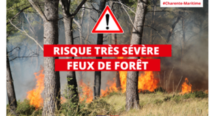 Lire l'article Risque très sévère de Feux de Forêts Risque très sévère de Feux de Forêts